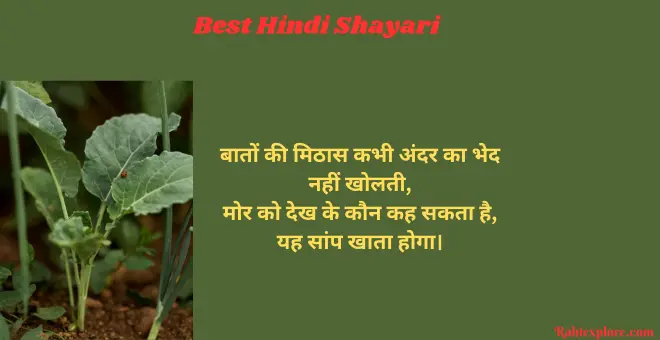 Hindi Shayari